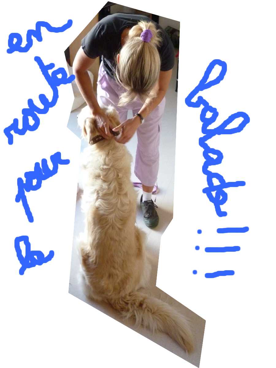 voir l'image en taille r�elle