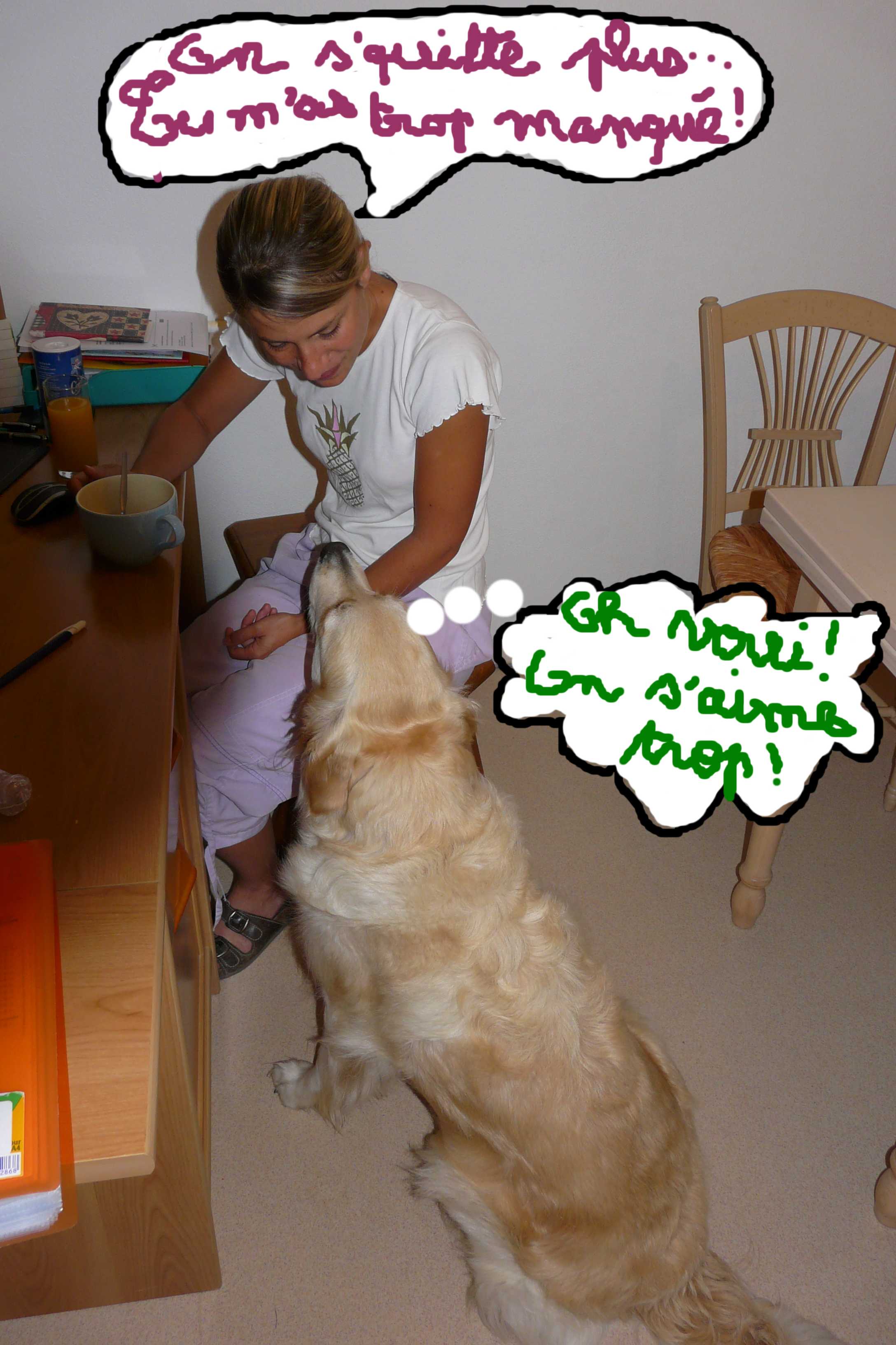 voir l'image en taille r�elle