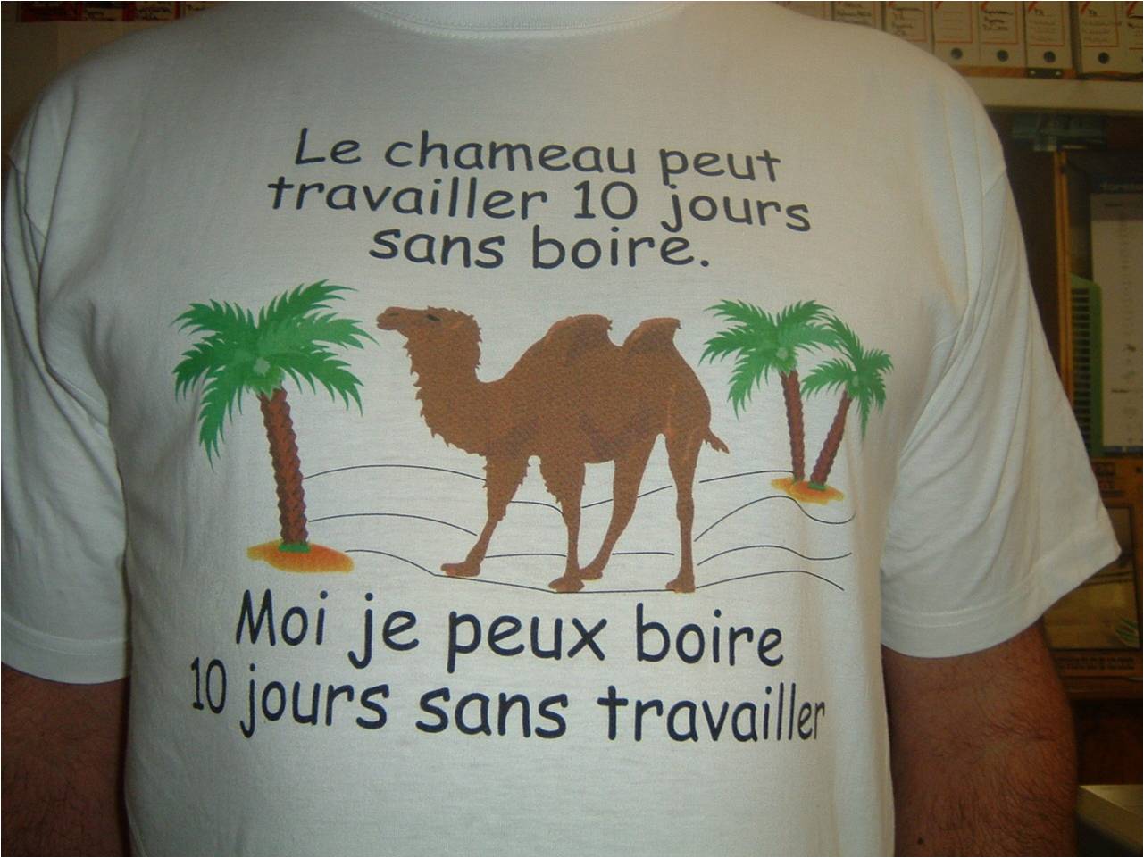 Image hébergée par Casimages.com : votre hébergeur d images simple et gratuit
