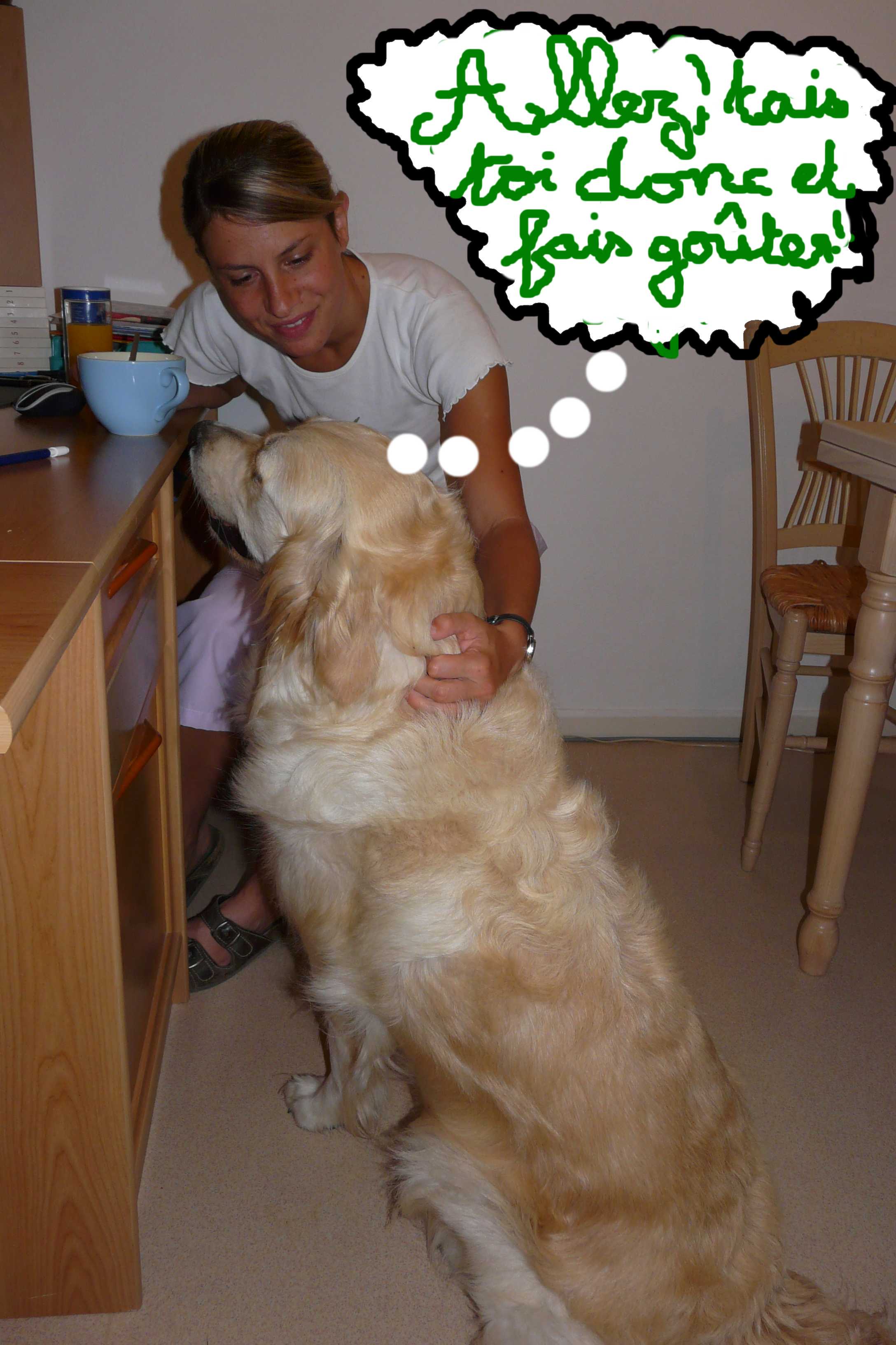http://nsm04.casimages.com/img/2010/08/24/100824100118735606624325.jpg