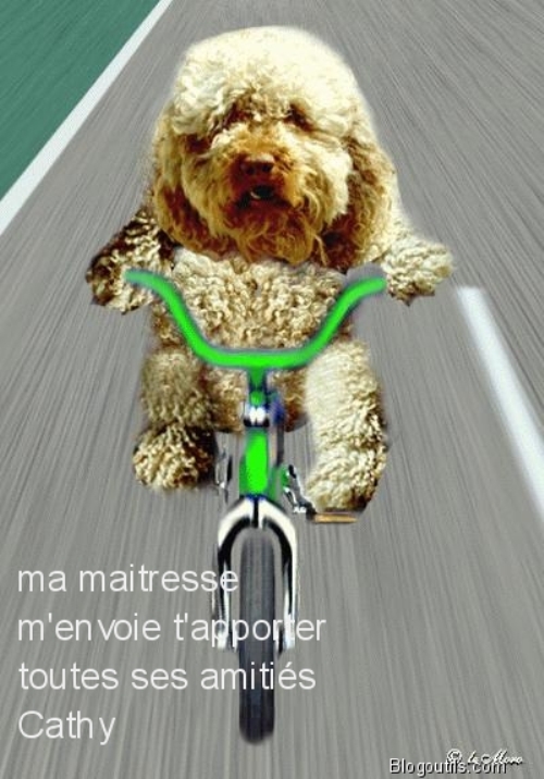 Image h�berg�e par Casimages.com : votre h�bergeur d images simple et gratuit