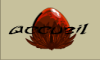 Accueil