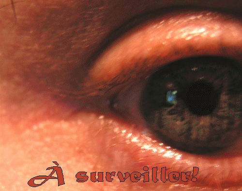 surveiller bientot la sortie de ma raison de vivre