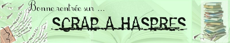 Scrap � Haspres