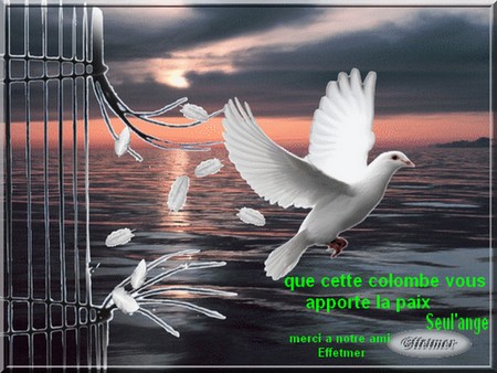 les sit de rencontre gratuit