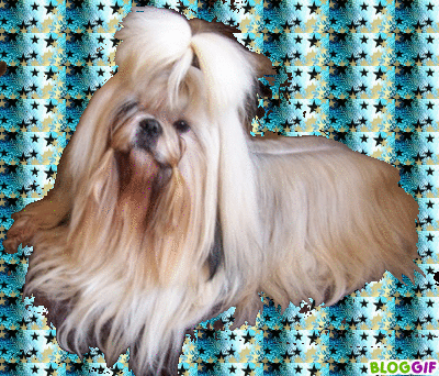 Image h�berg�e par Casimages.com : votre h�bergeur d images simple et gratuit