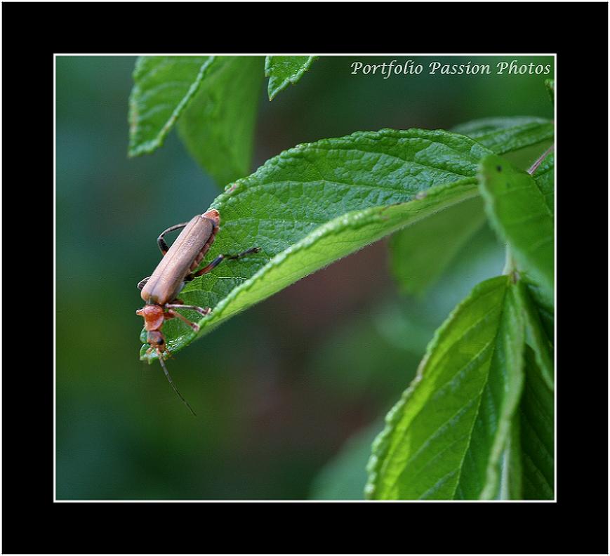 Image hébergée par Casimages.com : votre hébergeur d images simple et gratuit