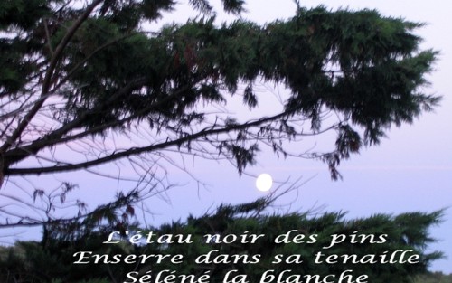 Image h�berg�e par Casimages.com : votre h�bergeur d images simple et gratuit