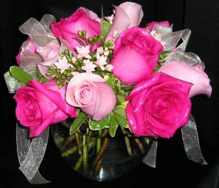 Image h�berg�e par Casimages.com : votre h�bergeur d images simple et gratuit