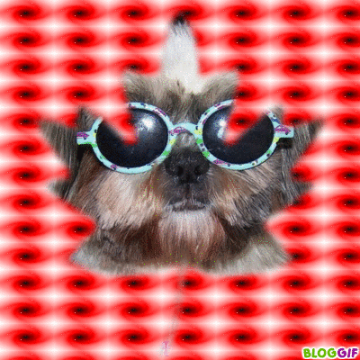 Image h�berg�e par Casimages.com : votre h�bergeur d images simple et gratuit