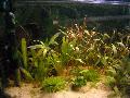 DSCN0064