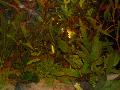 DSCN0073