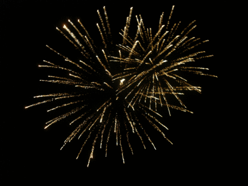 1009211047291156796788916.gif