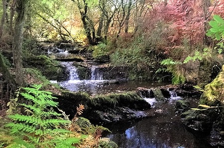 Broceliande-
