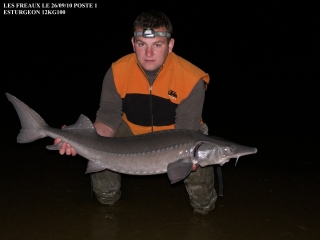http://nsm04.casimages.com/img/2010/09/29//1009290332221078516840000.jpg