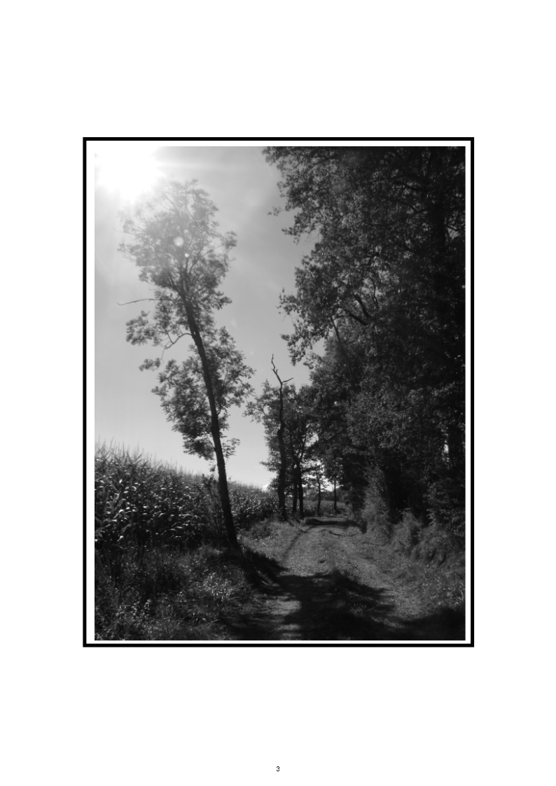 hebergeur image