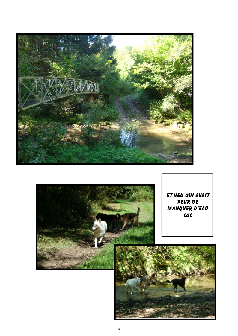 hebergeur image
