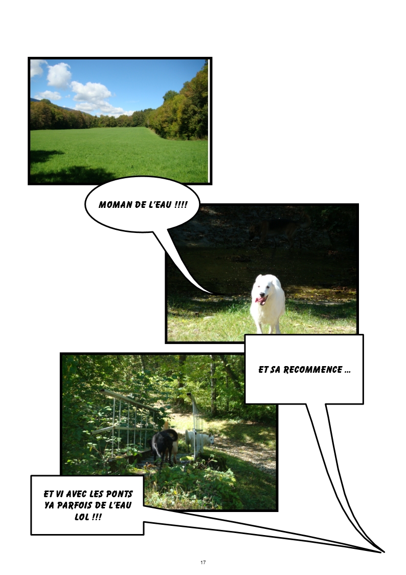 hebergeur image