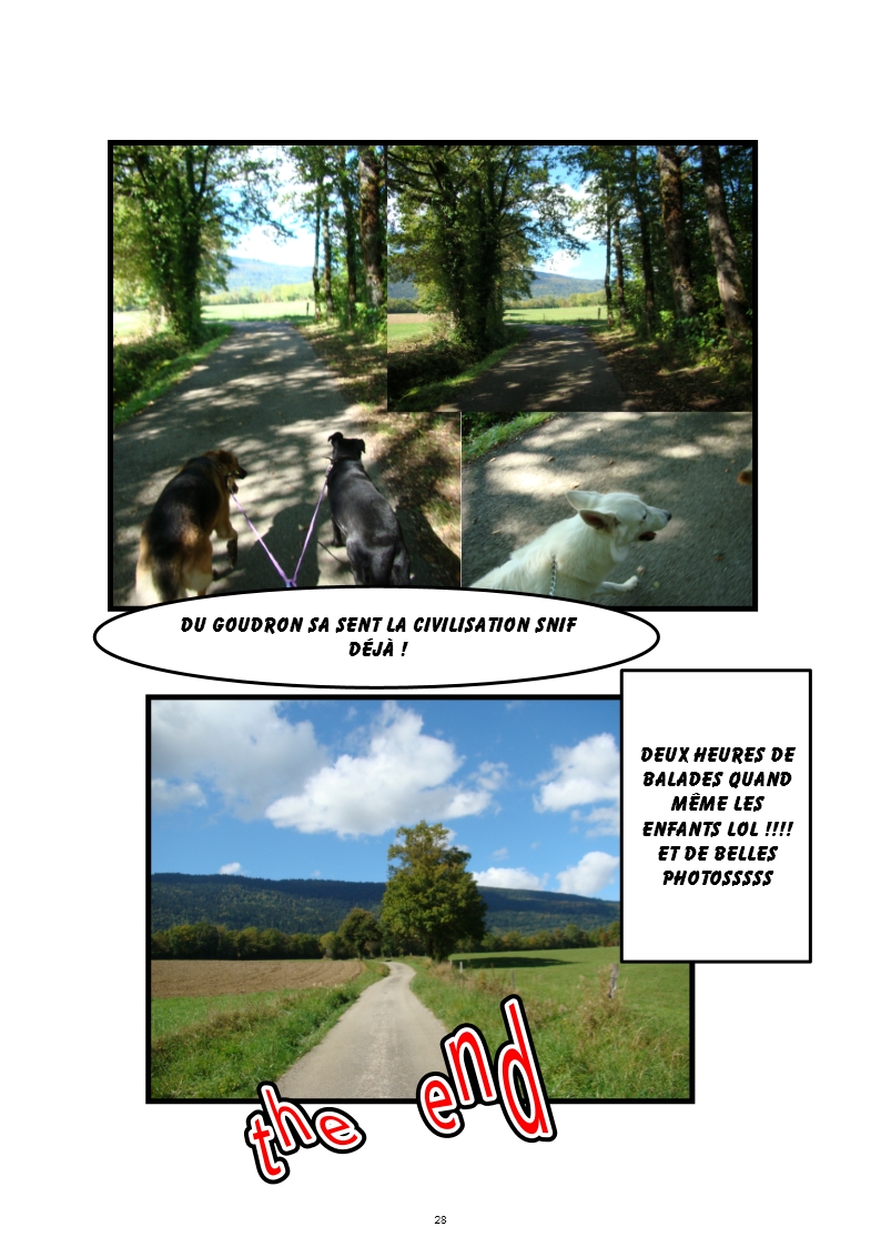 hebergeur image