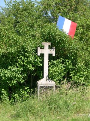 voir l'image en taille réelle