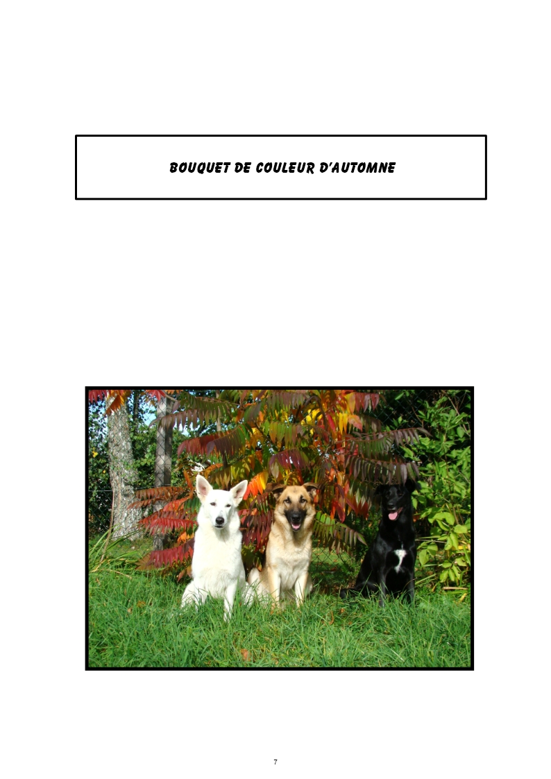hebergeur image