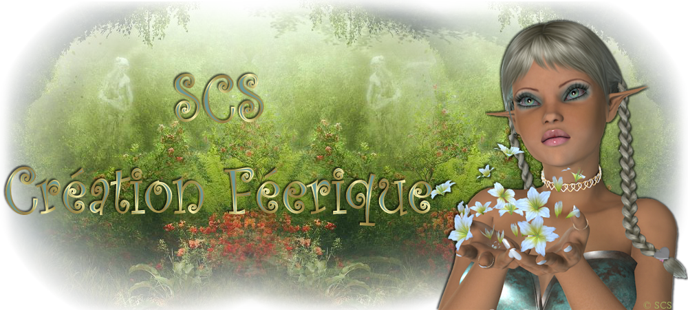 SCS Création Féerique