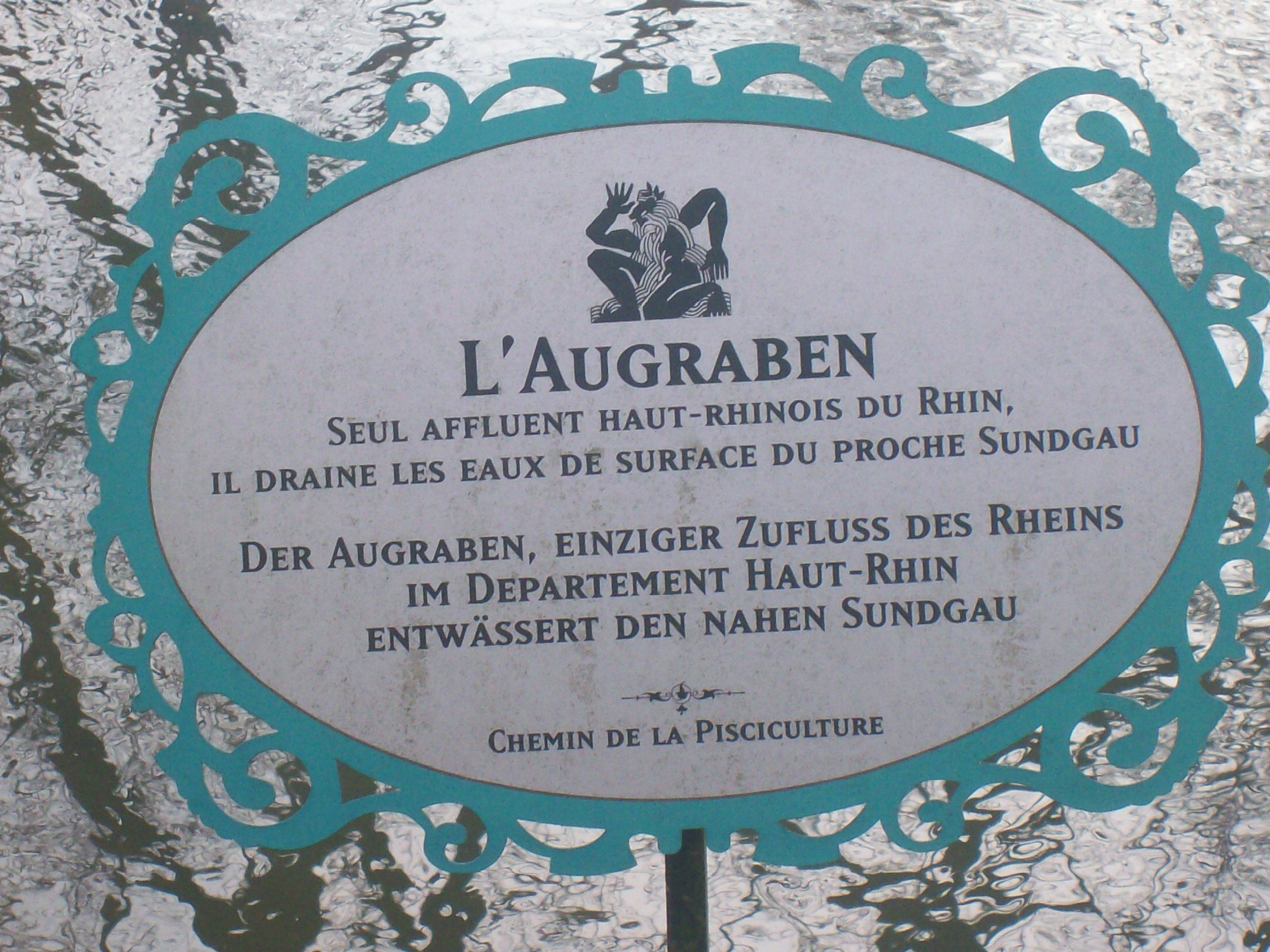 voir l'image en taille réelle