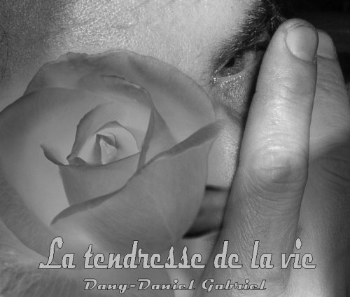 dany daniel gabriel la tendresse de la vie mourir damour