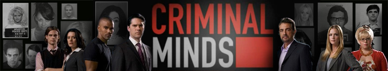 Criminal Minds (S06E09) Into the Woods HDTV XviD