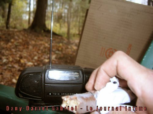 ddg20101028