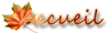 Accueil