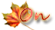 Connexion