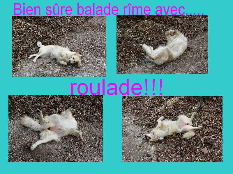 voir l'image en taille r�elle
