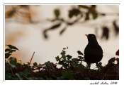 07112010-IMG_8149