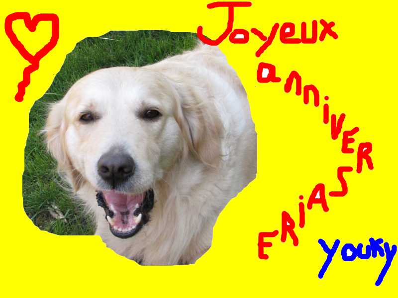 voir l'image en taille r�elle