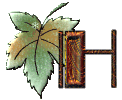 hebergeur image