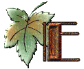 hebergeur image