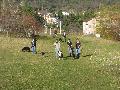IMG_1306