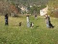 IMG_1307