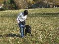 IMG_1309