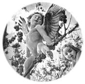 Les Anges et la voyance en Direct