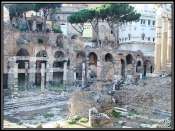 Forum-05