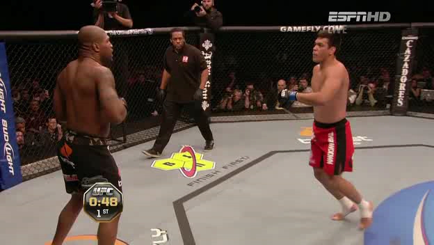 UFC 123: Rampage vs. Machida Image