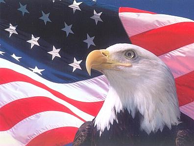 eagle_flag2