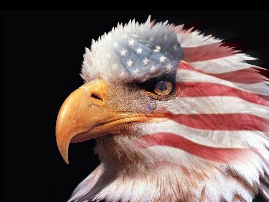 usa-eagle-1024