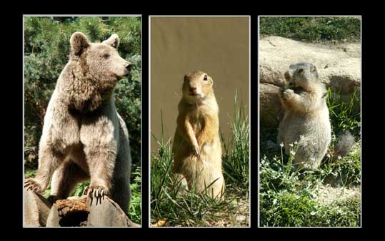 Image hébergée par Casimages.com : votre hébergeur d images simple et gratuit