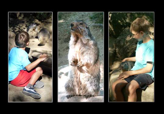 Image hébergée par Casimages.com : votre hébergeur d images simple et gratuit