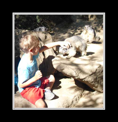 Image hébergée par Casimages.com : votre hébergeur d images simple et gratuit