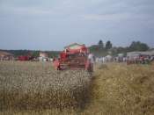 machines et tracteurs a la fete des battages à vernoux (01) Mini_1008261125331075046638282