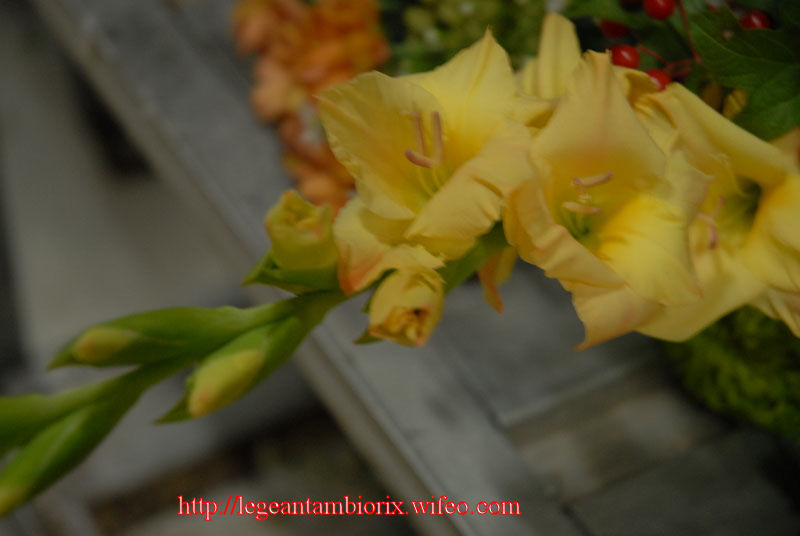 dimanchepierred_(13)